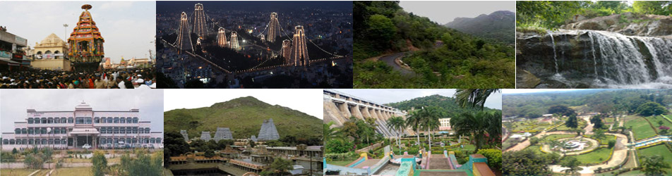 tiruvannamalai images